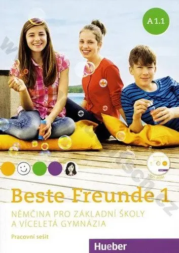 Beste Freunde 1 A1.1 - pracovní sešit - Manuela Georgiakaki