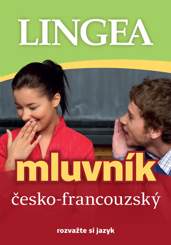 Česko-francouzský mluvník - kolektiv autorů