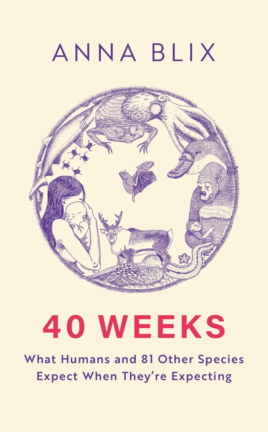 40 Weeks (A Human Pregnancy and 81 Other Ways to Reproduce) - Anna Blix