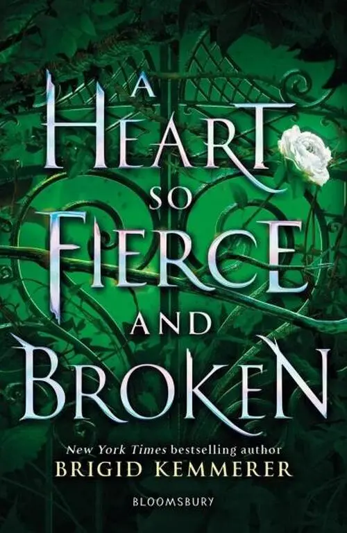 A Heart So Fierce and Broken - Brigid Kemmerer