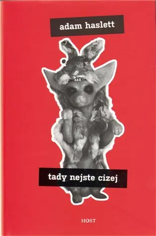 Tady nejste cizej - Adam Haslett