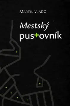 Mestský pustovník - Martin Vlado