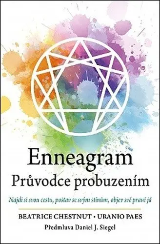 Enneagram - Průvodce probuzením - Beatrice Chestnut