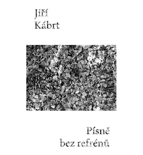 Písně bez refrénů