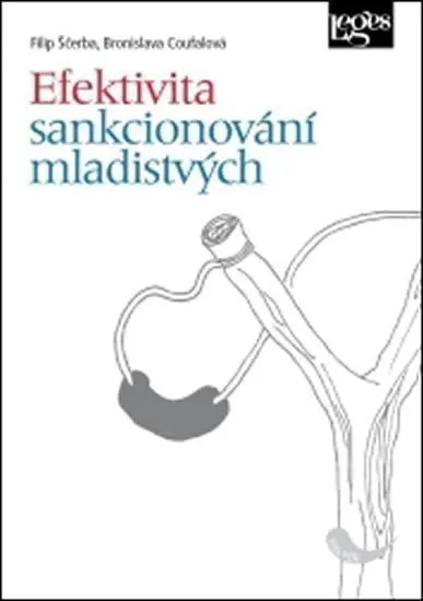 Efektivita sankcionování mladistvých - Filip Ščerba