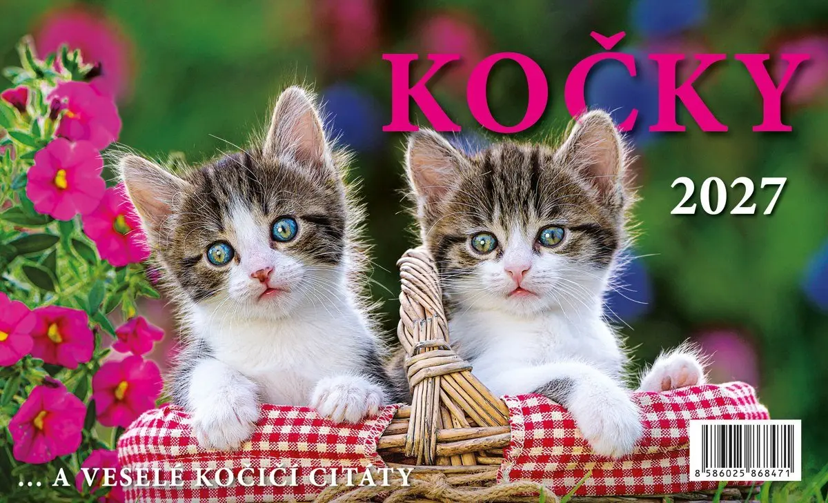 Kalendář 2027 stolní: KOČKY