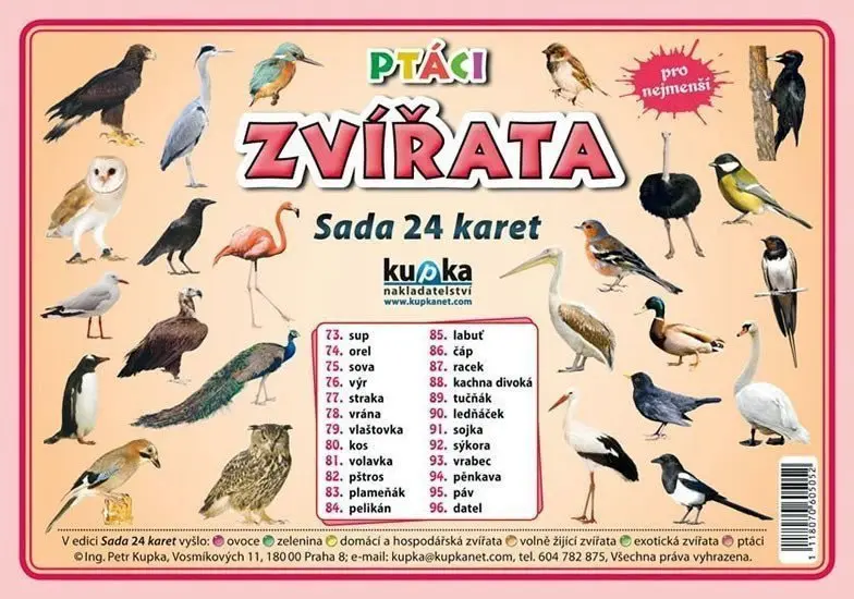 Ptáci zvířata - Sada 24 karet - kolektiv autorů