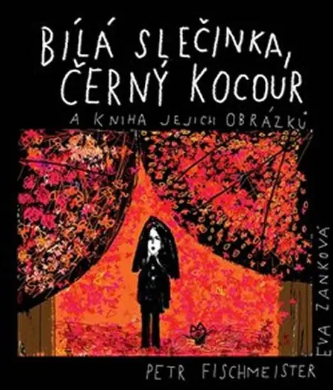 Bílá slečinka, černý kocour - Petr Fischmeister
