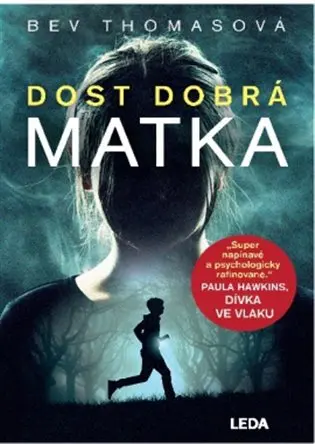 Dost dobrá matka - Michael Bevilacqua
