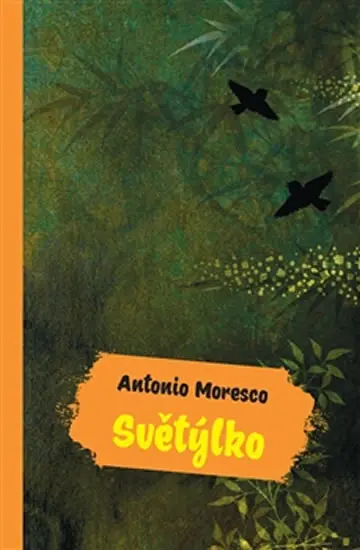 Světýlko - Antonio Moresco