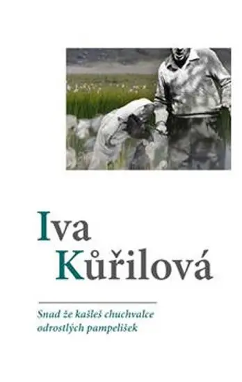 Snad že kašleš chuchvalce odrostlých pampelišek - Pavel Jestřáb, Iva Kůřilová
