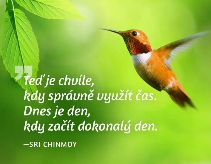 Magnet na lednici - Teď je chvíle, kdy správně využít čas. Dnes je den, kdy začít dokonalý - Sri Chinmoy