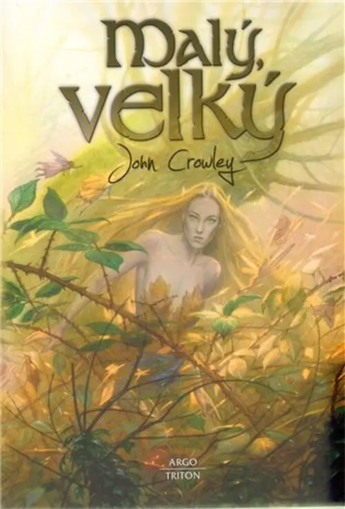 Malý, velký - John Crowley