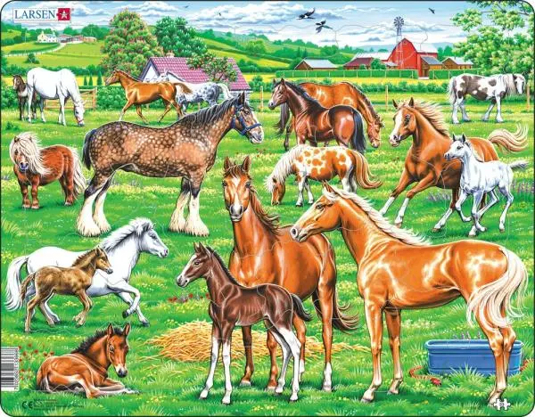 Kone - rôzne druhy (FH50) - puzzle z kategorie Náučné puzzle
