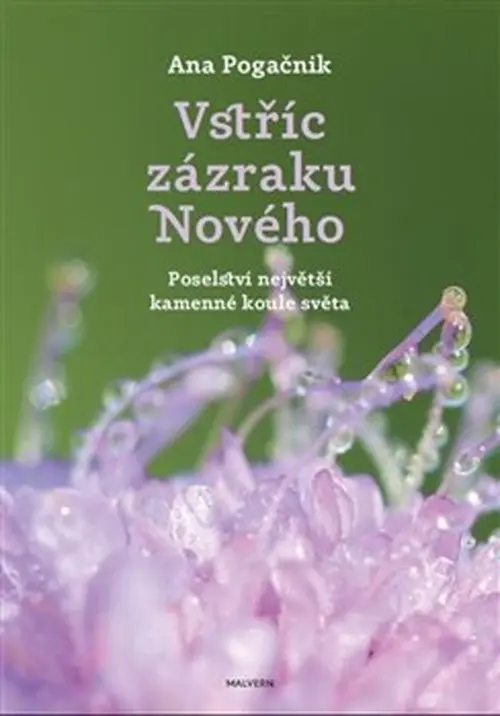 Vstříc zázraku nového - Ana Pogačnik