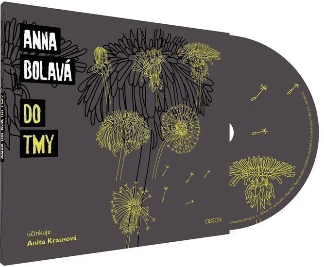 Do tmy - audiokniha z kategorie Spoločenská beletria