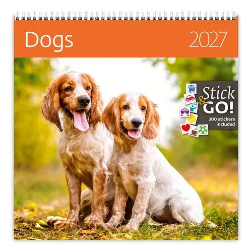 Nástěnný kalendář 2027 Helma Dogs