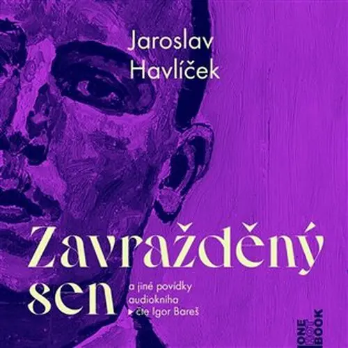 CD Zavražděný sen a jiné povídky (Čte Igor Bareš) (audiokniha) - Jaroslav Havlíček