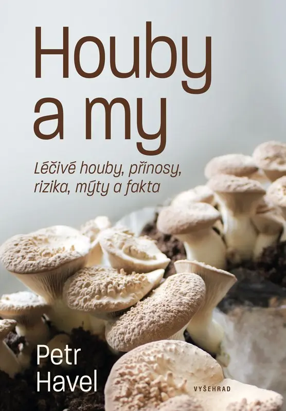 Houby a my