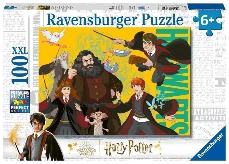 Puzzle Harry Potter: Mladý čaroděj 100 dílků
