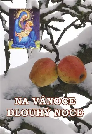 Na Vánoce dlouhý noce - kolektiv autorů