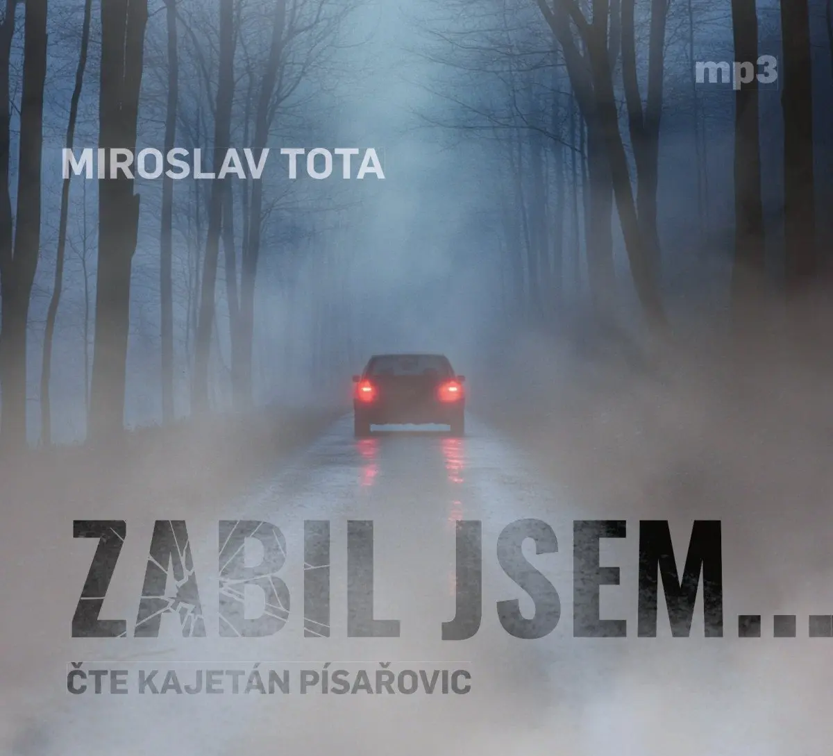 Zabil jsem... (audiokniha - čte Kajetán Písařovic) - Miroslav Tota