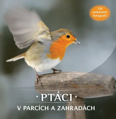 Ptáci v parcích a zahradách: 130 unikátních fotografií - kolektiv autorů