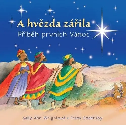 A hvězda zářila - Sally Ann Wrightová