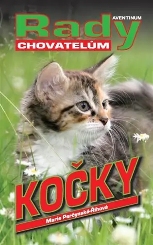 Kočky - Rady chovatelům - Marie Říhová Perčynská