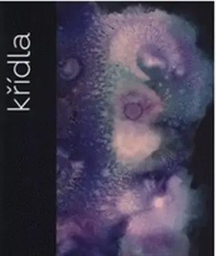 Křídla - Petr Volf