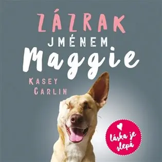 CD Zázrak jménem Maggie (audiokniha) - Kasey Carlin