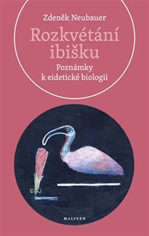 Rozkvétání ibišku - Poznámky k eidetické biologii - Zdeněk Neubauer