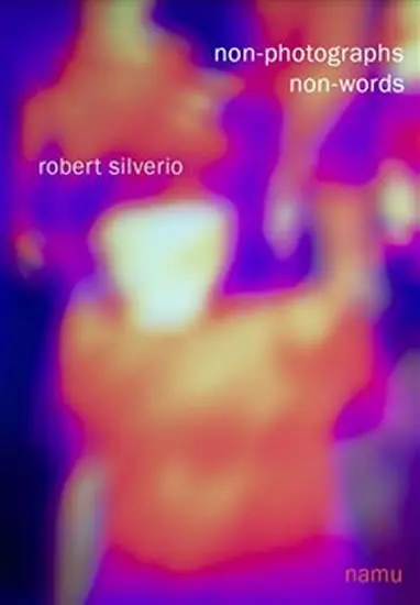Non-photographs, non-words - Robert Silverio