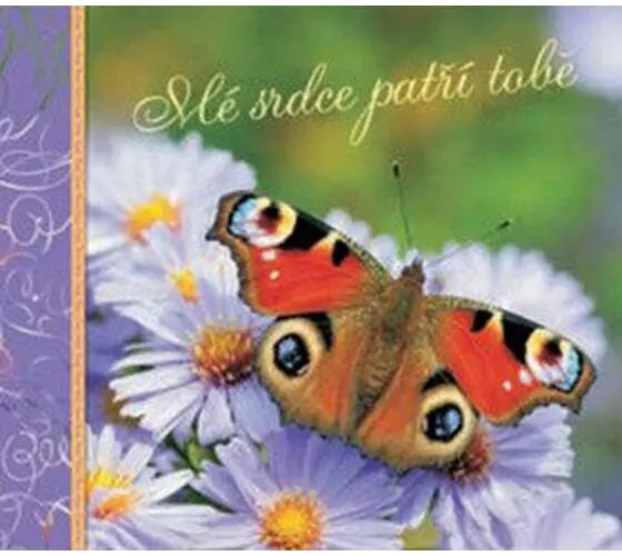 Mé srdce patří tobě