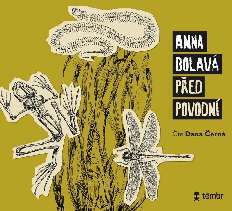 CD Před povodní (audiokniha) - Anna Bolavá