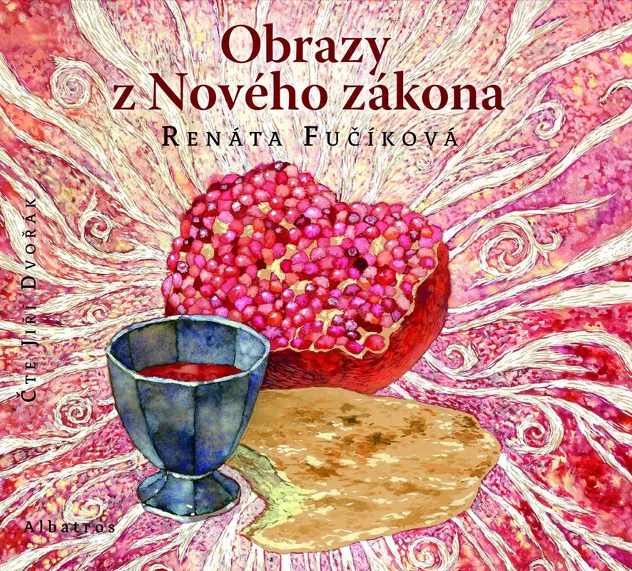 Obrazy z Nového zákona ( pro děti) (audiokniha) - Renáta Fučíková