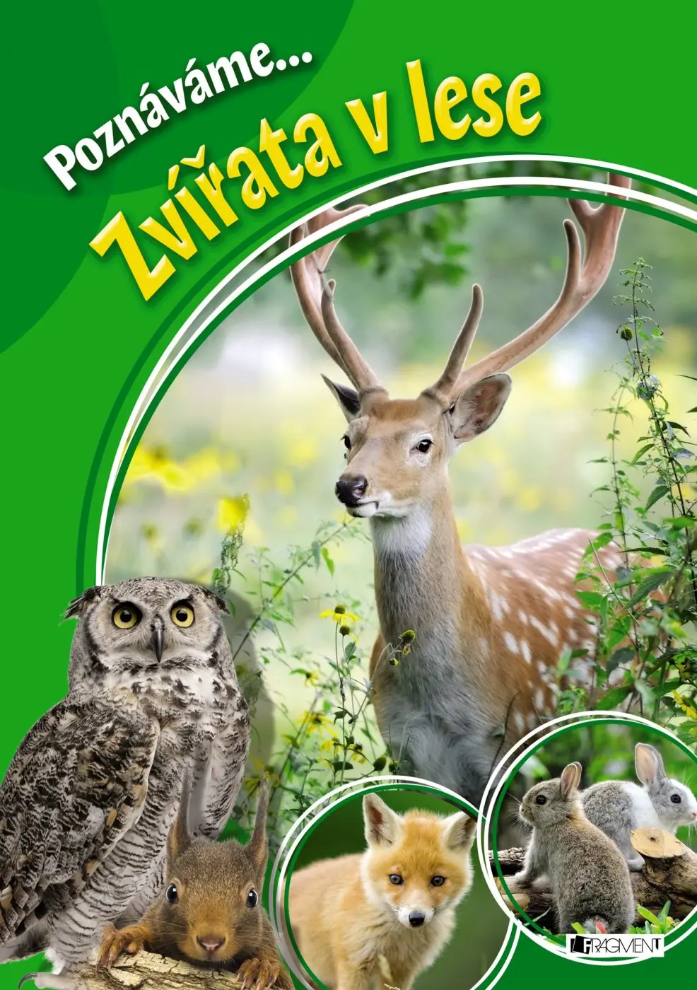 Poznáváme... Zvířata v lese - kolektiv autorů