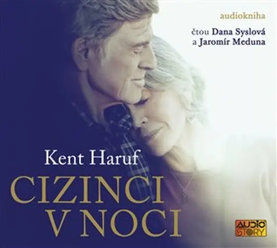 Cizinci v noci - audiokniha z kategorie Spoločenská beletria