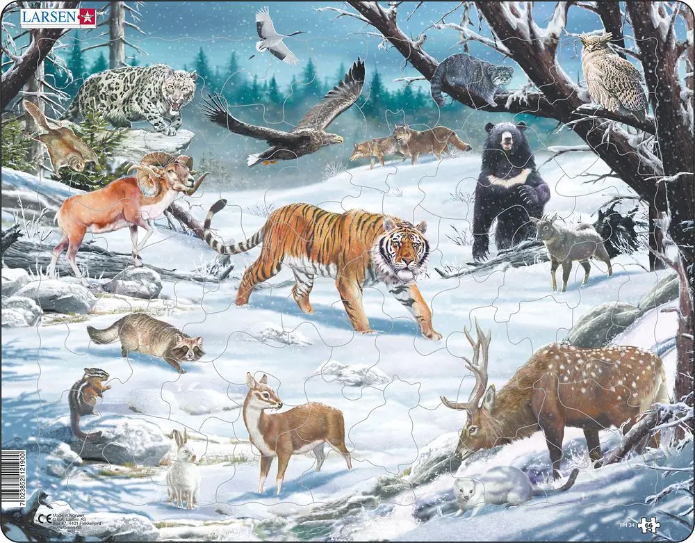 Puzzle MAXI - Sibiř a krajina Severovýchodní Asie/66 dílků - Kiddo