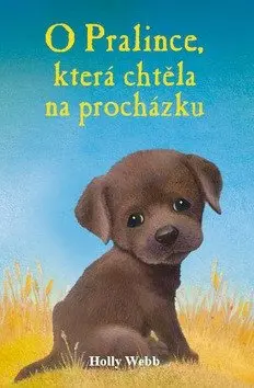 O Pralince, která chtěla na procházku - Holly Webb