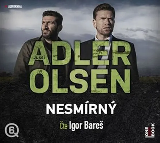 Nesmírný - 2  (Čte Igor Bareš) (audiokniha) - Jussi Adler-Olsen