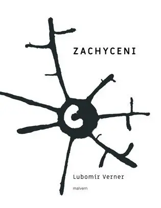 Zachyceni - Lubomír Verner