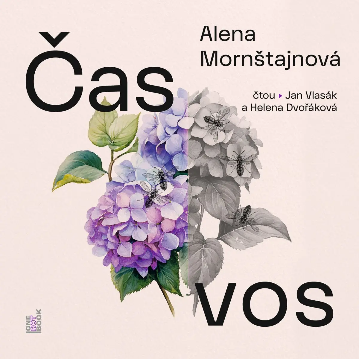 Čas vos - CDmp3 (Čtou Jan Vlasák a Helena Dvořáková) - Alena Mornštajnová