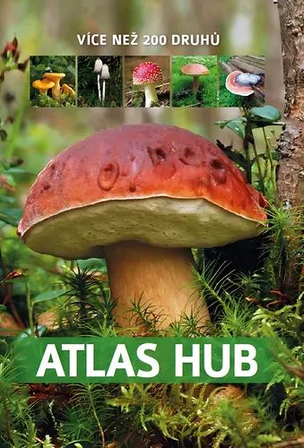 Atlas hub - Více než 200 druhů - Patrycja Zarawska
