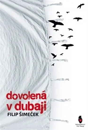 Dovolená v Dubaji - Filip Šimeček