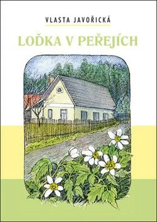 Loďka v peřejích