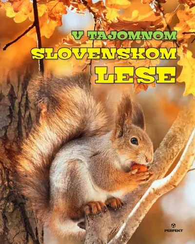 V tajomnom slovenskom lese (Roman Jadroň, 2024)