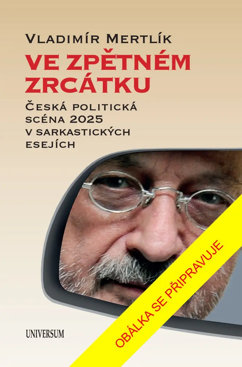 Ve zpětném zrcátku - Vladimír Mertlík