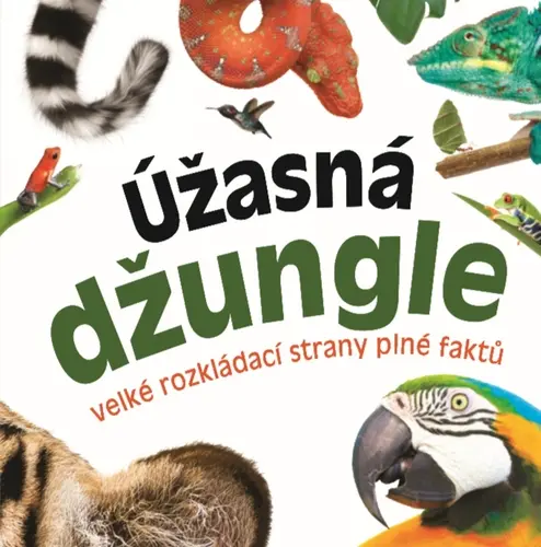 Úžasná džungle - Velké rozkládací strany plné faktů - neznámý
