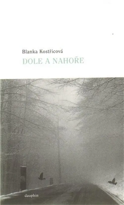 Dole a nahoře - Blanka Kostřicová